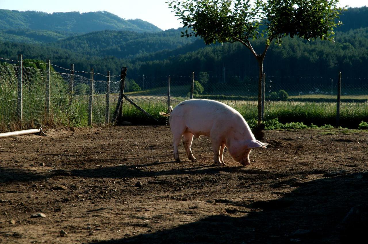 Agriturismo Fiorella Camigliatello Silano Bagian luar foto