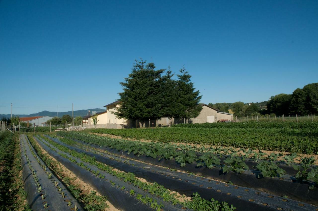 Agriturismo Fiorella Camigliatello Silano Bagian luar foto