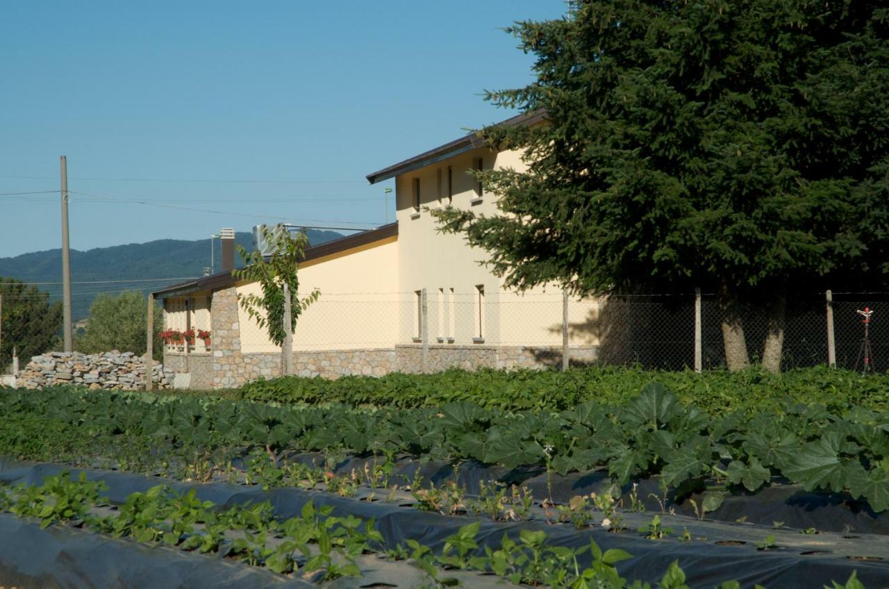 Agriturismo Fiorella Camigliatello Silano Bagian luar foto