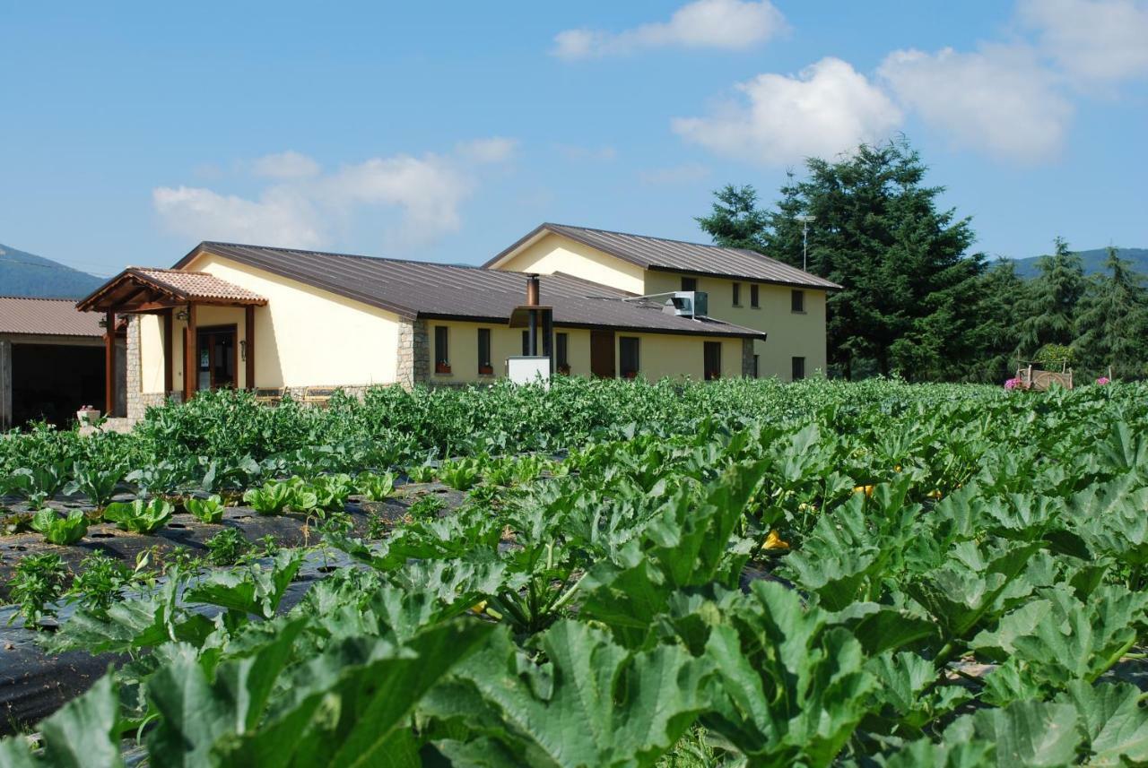 Agriturismo Fiorella Camigliatello Silano Bagian luar foto